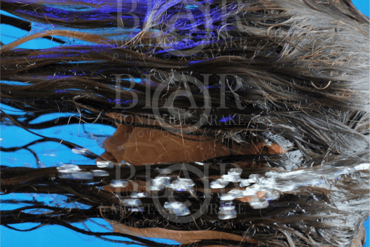 Blair Montague Drake