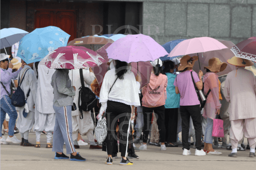 Blair Montague Drake