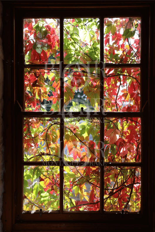 Blair Montague Drake