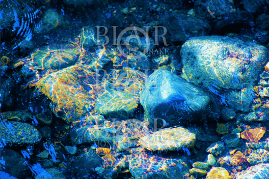 Blair Montague Drake