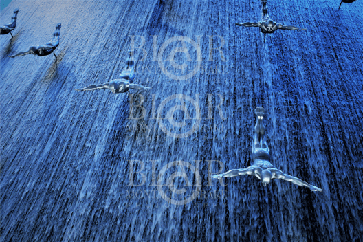 Blair Montague Drake