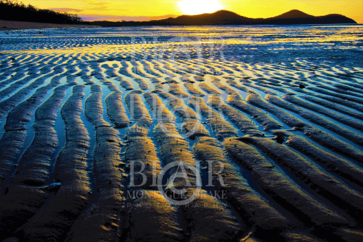 Blair Montague Drake