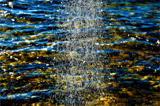 Blair Montague Drake