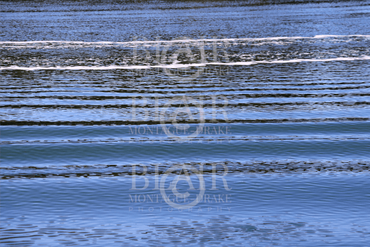 Blair Montague Drake