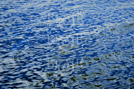 Blair Montague Drake