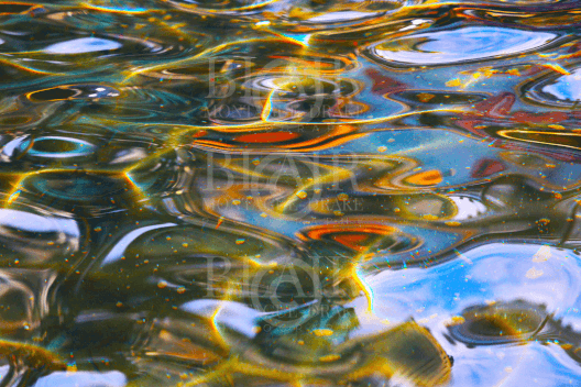 Blair Montague Drake