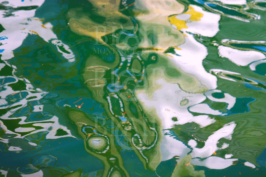 Blair Montague Drake