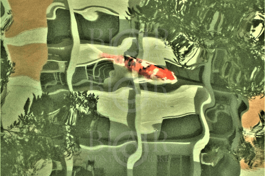 Blair Montague Drake