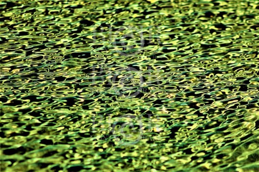 Blair Montague Drake