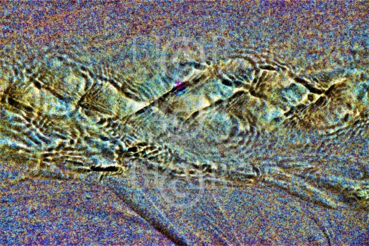 Blair Montague Drake