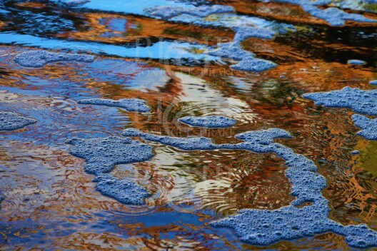 Blair Montague Drake