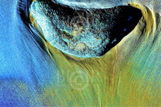 Blair Montague Drake