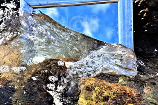 Blair Montague Drake