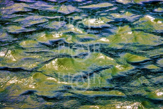 Blair Montague Drake