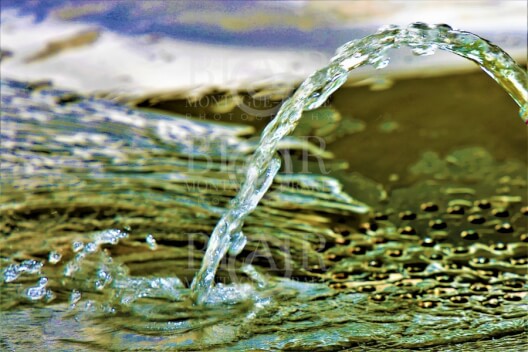 Blair Montague Drake