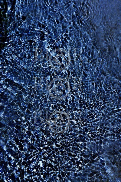 Blair Montague Drake