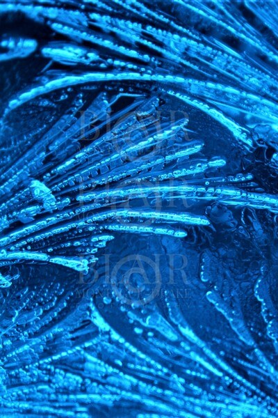 Blair Montague Drake