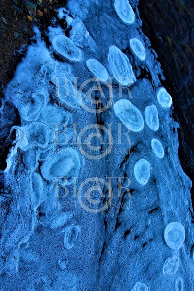 Blair Montague Drake