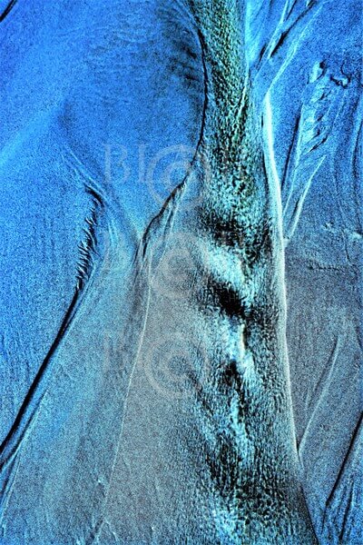 Blair Montague Drake