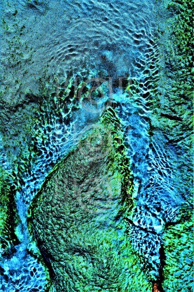 Blair Montague Drake