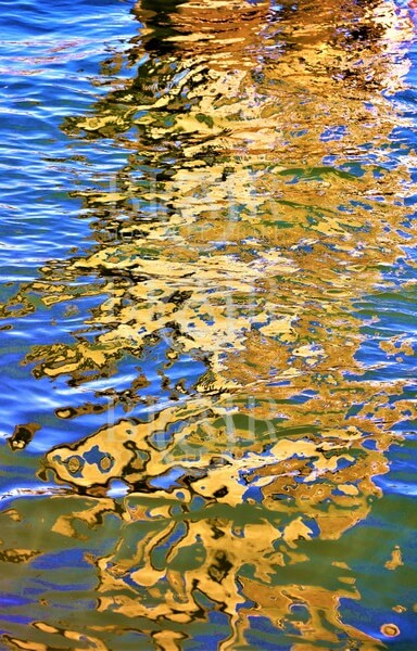 Blair Montague Drake