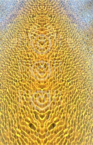 Blair Montague Drake