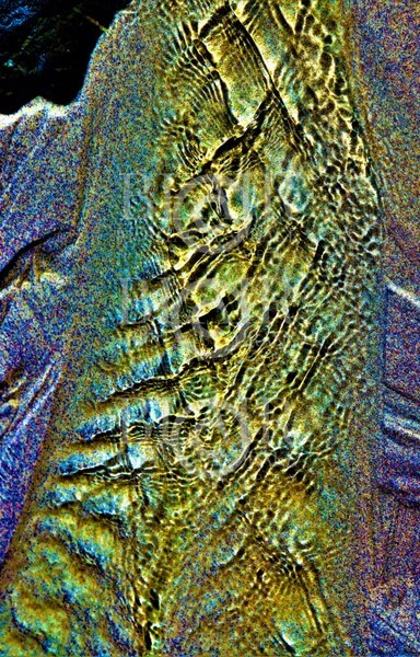 Blair Montague Drake