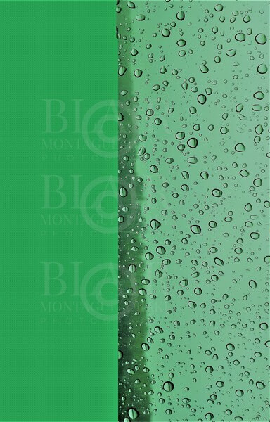 Blair Montague Drake