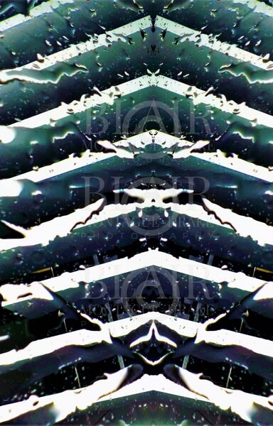 Blair Montague Drake