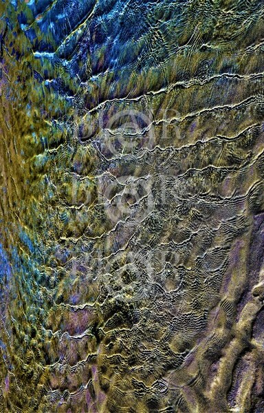 Blair Montague Drake