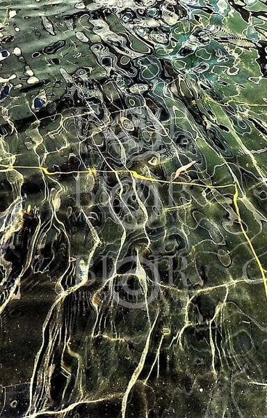 Blair Montague Drake