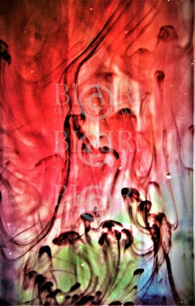 Blair Montague Drake