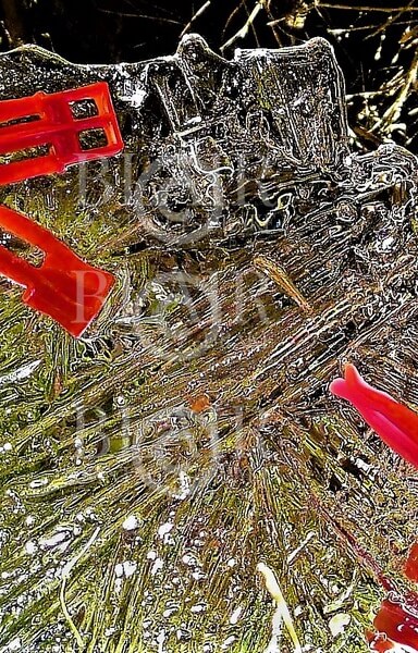 Blair Montague Drake