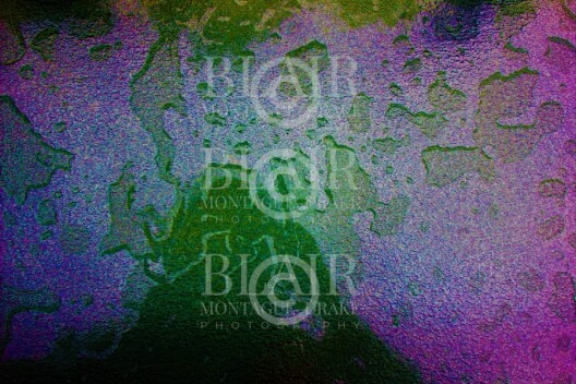 Blair Montague Drake