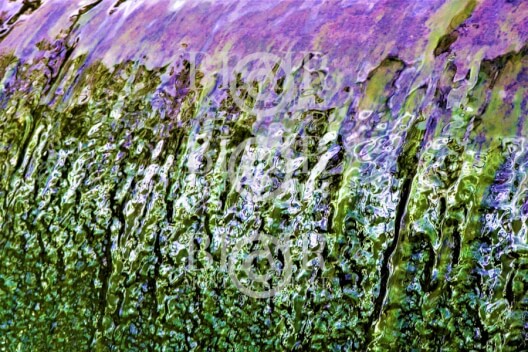 Blair Montague Drake