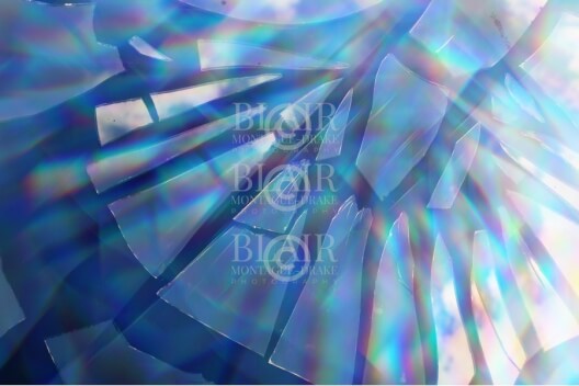 Blair Montague Drake