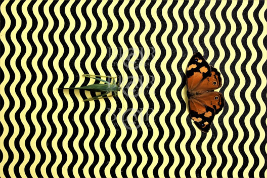 Blair Montague Drake