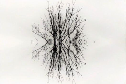 Blair Montague Drake