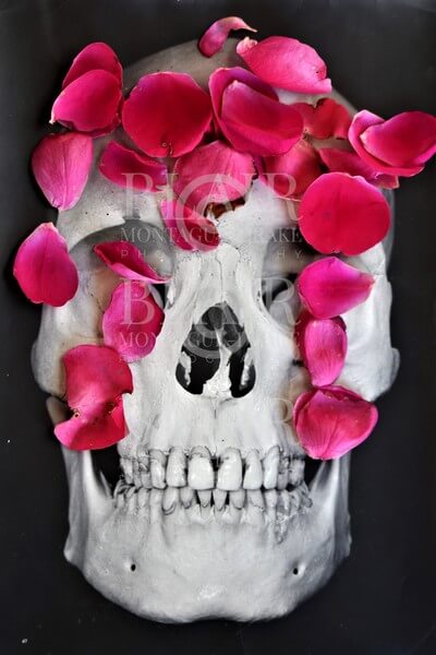 Blair Montague Drake