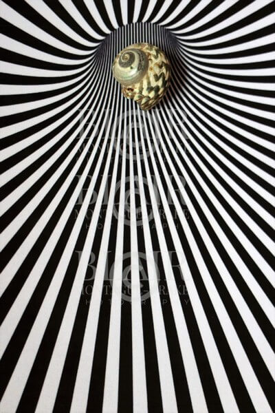 Blair Montague Drake