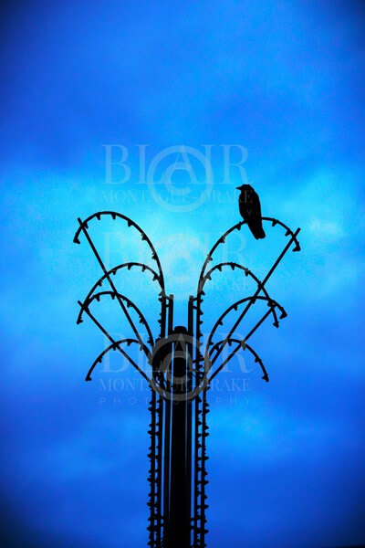 Blair Montague Drake