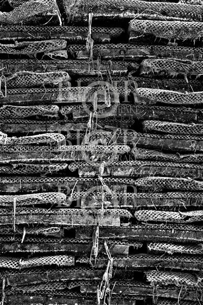 Blair Montague Drake