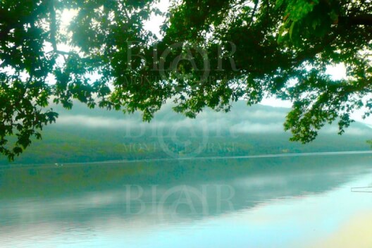 Blair Montague Drake