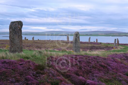 Blair Montague Drake