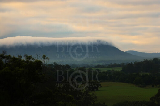 Blair Montague Drake