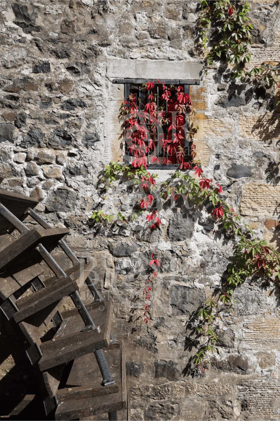 Blair Montague Drake